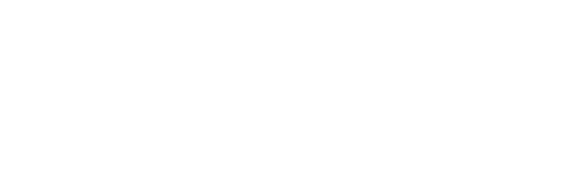 nextstop logo whte transparent
